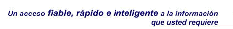 Un acceso fiable, r�pido e inteligente a la informaci�n que usted requiere.