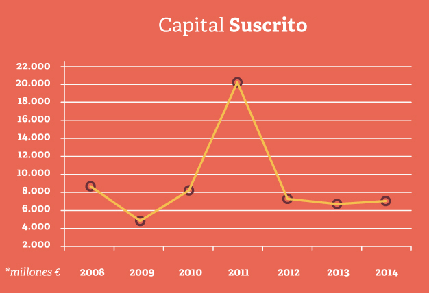 Evolución capital suscrito durante la crisis